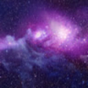 Meet your Posher, Raven